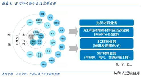 赛伍技术 技术平台型企业爆款产品不断,新能源膜材长坡厚雪